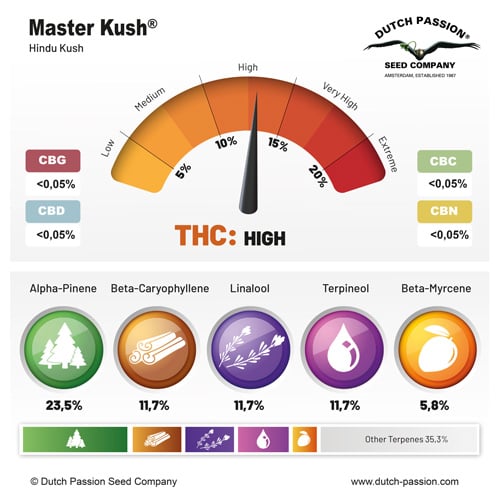 Master Kush terpenes and cannabinoids